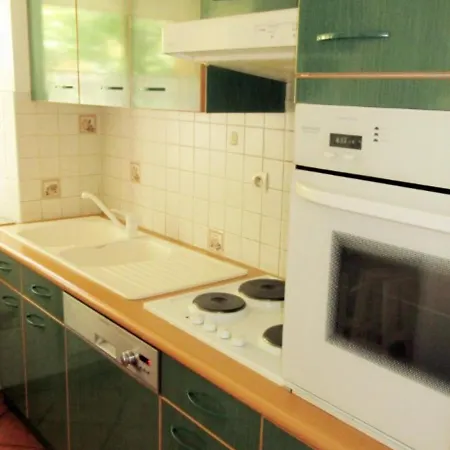 Apartment Duplex 3 Chambres, 8 Personnes Avec Jardin, Cheminee, Proche Pistes - Serre Chevalier - Fr-1-762-32 La Salle-les-Alpes
